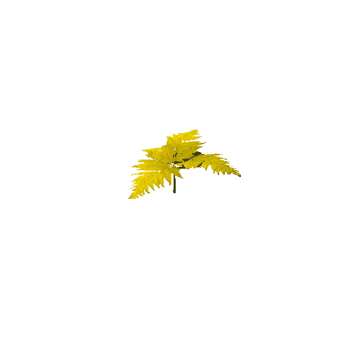 Fern Yellow Default 03